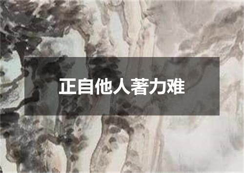 正自他人著力难