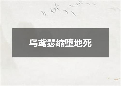 乌鸢瑟缩堕地死