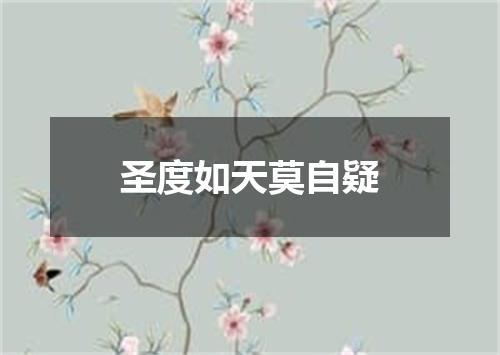 圣度如天莫自疑