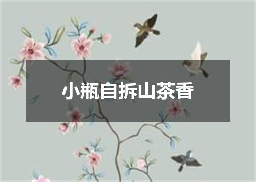 小瓶自拆山茶香