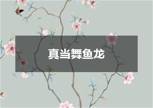 真当舞鱼龙