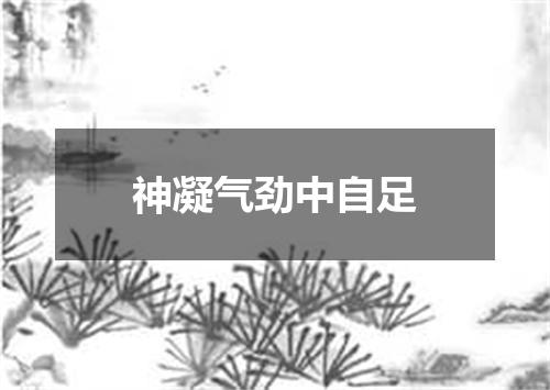 神凝气劲中自足
