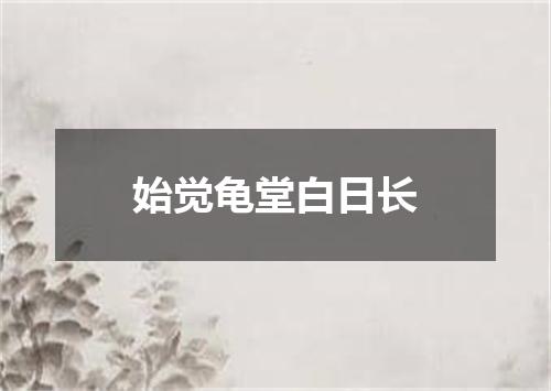 始觉龟堂白日长
