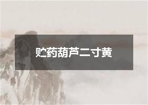 贮药葫芦二寸黄