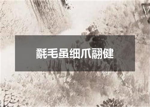 氄毛虽细爪翮健