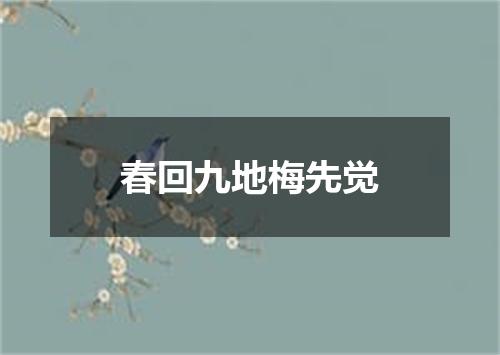 春回九地梅先觉