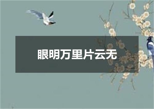 眼明万里片云无