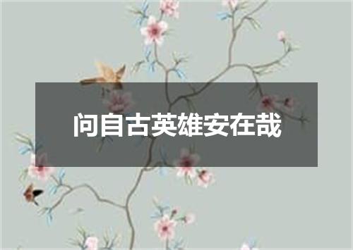 问自古英雄安在哉