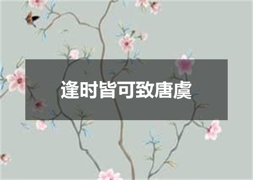 逢时皆可致唐虞