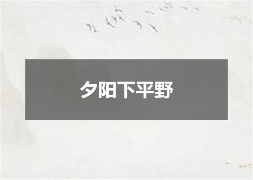 夕阳下平野