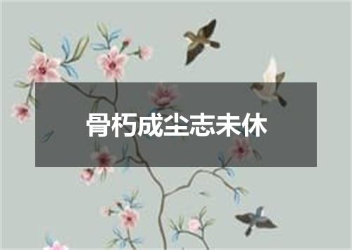 骨朽成尘志未休