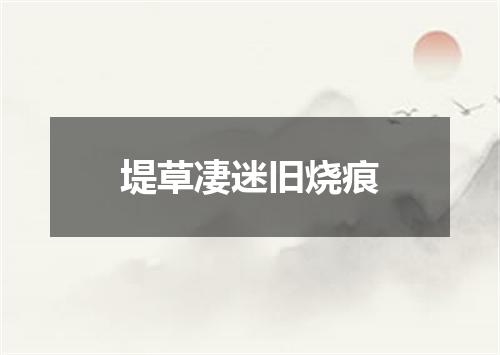 堤草凄迷旧烧痕