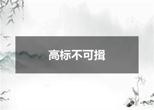 高标不可揖