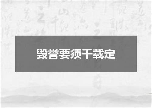 毁誉要须千载定