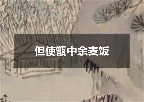 但使甑中余麦饭