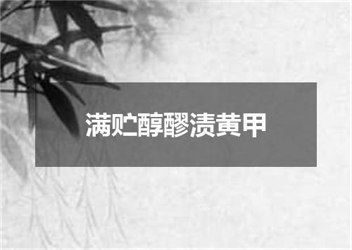 满贮醇醪渍黄甲