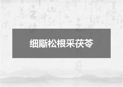 细斸松根采茯苓