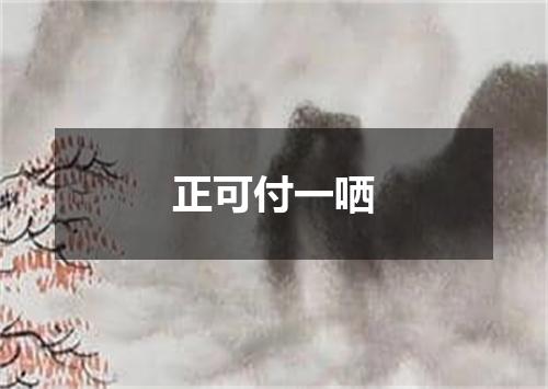 正可付一哂