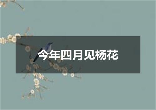 今年四月见杨花