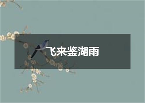 飞来鉴湖雨