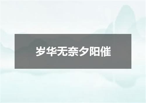 岁华无奈夕阳催