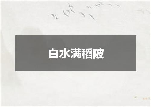 白水满稻陂