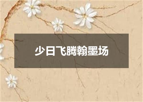 少日飞腾翰墨场