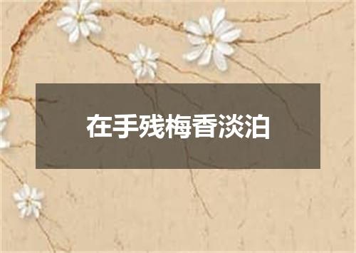 在手残梅香淡泊