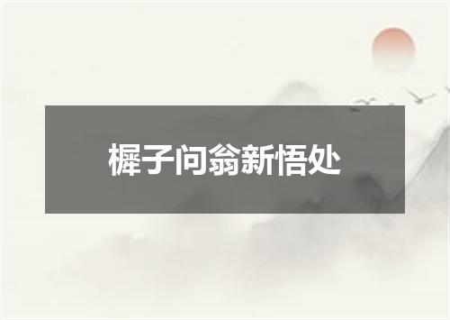 樨子问翁新悟处