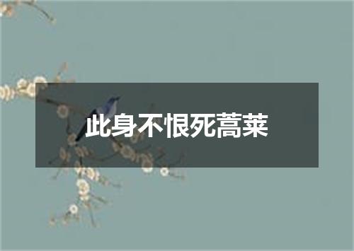 此身不恨死蒿莱