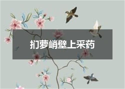 扪萝峭壁上采药