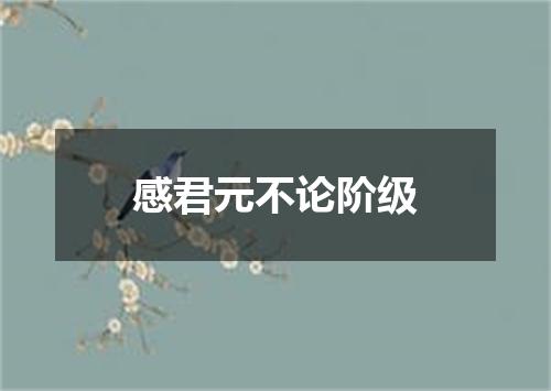 感君元不论阶级