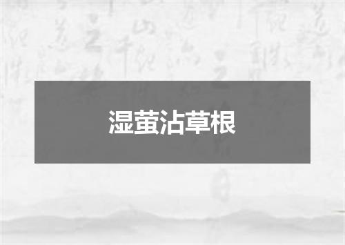 湿萤沾草根