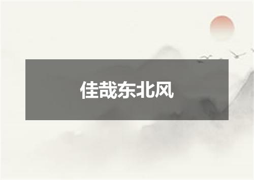 佳哉东北风