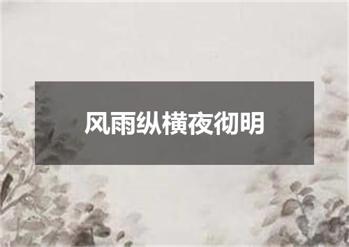 风雨纵横夜彻明