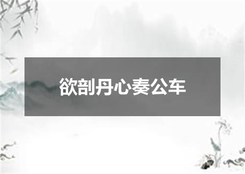 欲剖丹心奏公车