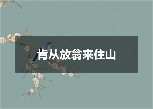 肯从放翁来住山