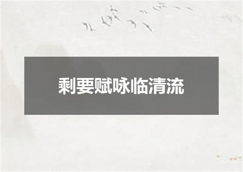 剩要赋咏临清流