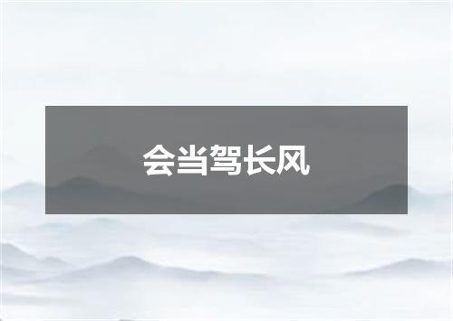 会当驾长风