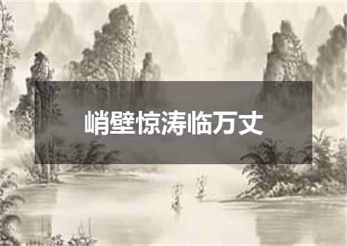 峭壁惊涛临万丈