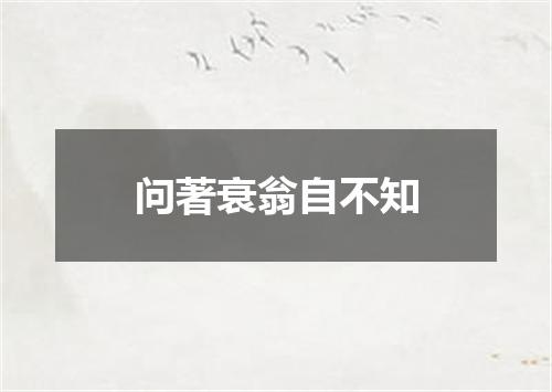 问著衰翁自不知