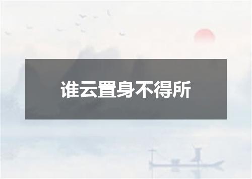 谁云置身不得所