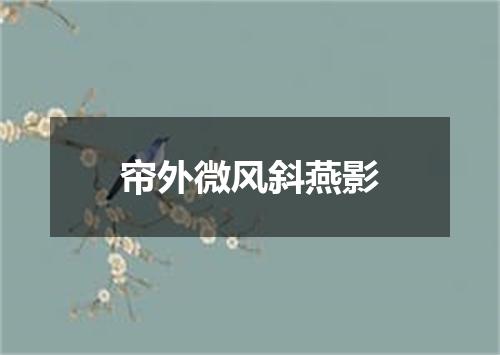 帘外微风斜燕影