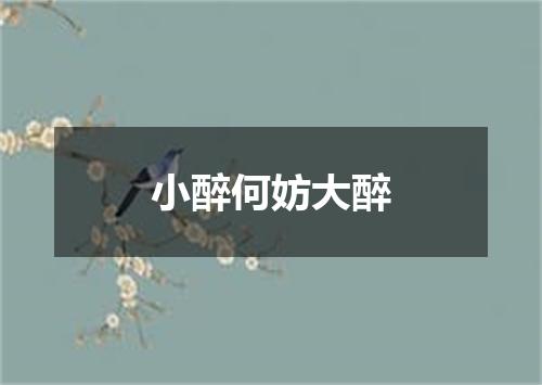 小醉何妨大醉