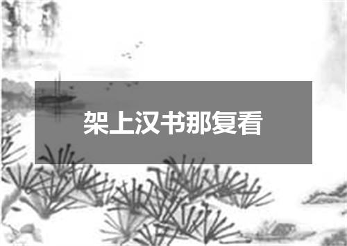 架上汉书那复看