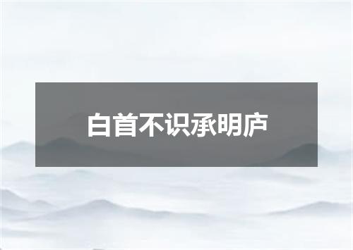 白首不识承明庐