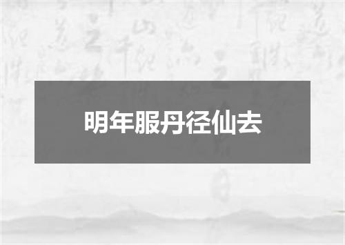 明年服丹径仙去