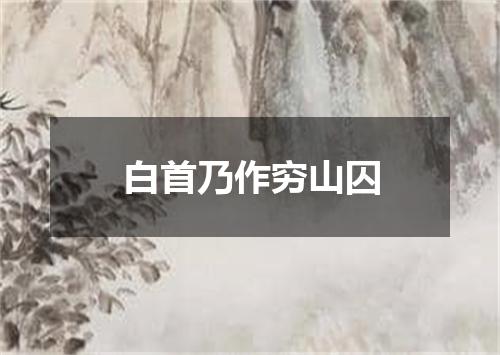 白首乃作穷山囚
