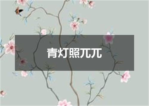 青灯照兀兀