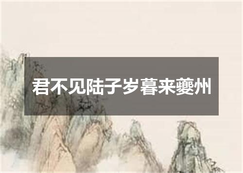 君不见陆子岁暮来夔州